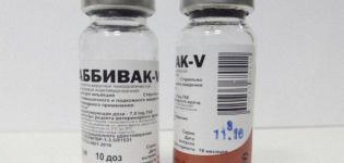 Упутство за употребу Раббивак В за зечеве, аналози и цена
