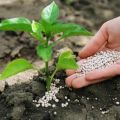 Arten und Eigenschaften von Mineral-, Bio-, Phosphor-, Kali- und Stickstoffdüngern