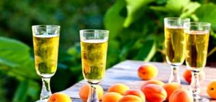 12 einfache, Schritt für Schritt hausgemachte Aprikosenweinrezepte