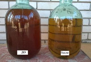 Como clarear o vinho com frio em casa, instruções passo a passo