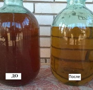 Como clarear o vinho com frio em casa, instruções passo a passo