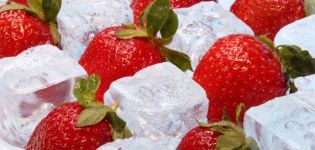 Comment bien congeler les fraises à la maison pour l'hiver