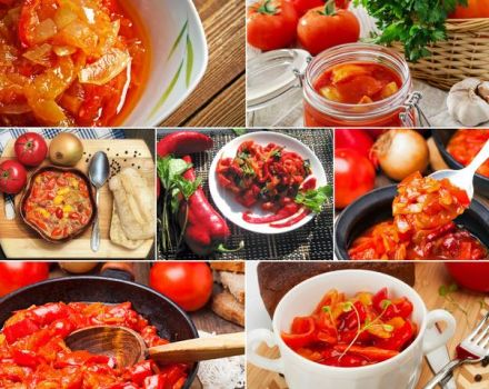 TOP 7 skaniausių receptų, kaip žiemai gaminti lecho su morkomis ir svogūnais
