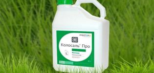 Návod na použitie fungicídu Kolosal, miery spotreby a analógov