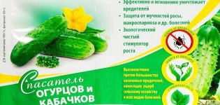 Anweisungen zur Verwendung des Cucumber Rescuer, wenn Sie ihn verarbeiten müssen