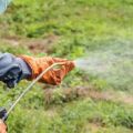 Aplikacja herbicydów Lazurit, Titus i Herbitox z chwastów na ziemniakach