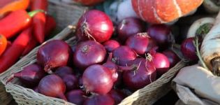 Beschreibung der Carmen-Zwiebelsorte, Merkmale des Anbaus und der Pflege