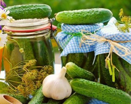 Einfache Rezepte für eingelegte kräftige Gurken für den Winter in Gläsern