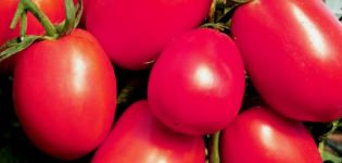 Characteristics and description of De Barao tomatoes