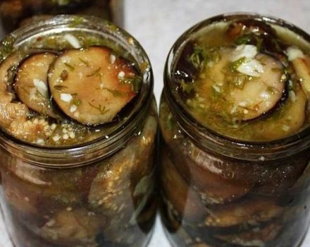 2 besten Auberginenrezepte in Öl für den Winter