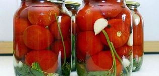 10 рецепти за приготвяне на мариновани и горещо-сладки домати за зимата