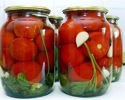 10 receitas para fazer tomates em conserva e doces quentes para o inverno