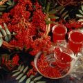 16 melhores receitas simples de geléia de sorveira vermelha para o inverno em casa