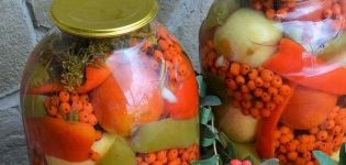 2 receitas principais de tomates em conserva com cinzas da montanha pretas e vermelhas para o inverno