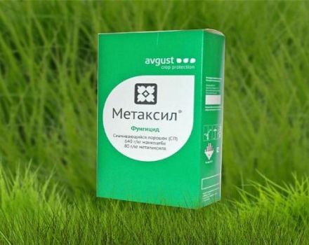 تعليمات لاستخدام مبيد الفطريات Metaxil ، آلية العمل ومعدلات الاستهلاك