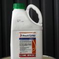 Instructions for the use of fungicide Alto Super and how to prepare a working solution