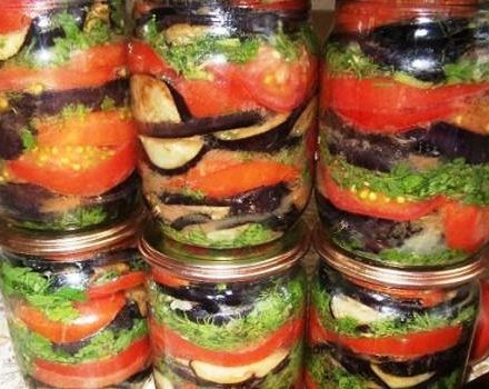 Kış için domates ve sarımsaklı en iyi 5 patlıcan meze tarifi