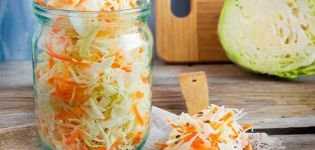 8 најбољих рецепата инстант киселог купуса који су укусни и сочни