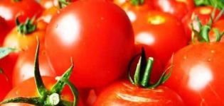 Карактеристике и опис сорте парадајза Татиана