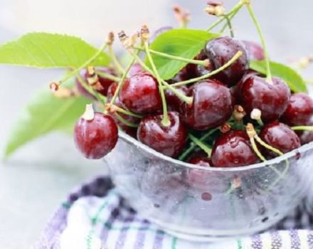 Kaip tinkamai laikyti vyšnias namuose bute ir uogų tinkamumo laiką
