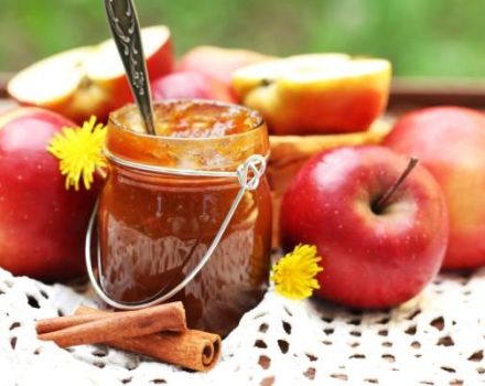 Top 6 Rezepte für die Herstellung von Apfel- und Zimtmarmelade für den Winter und Lagerung