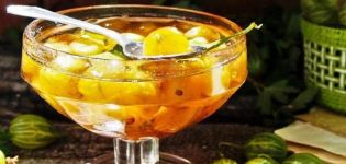 TOP 6-recept för krusbärssylt med hela bär för vintern
