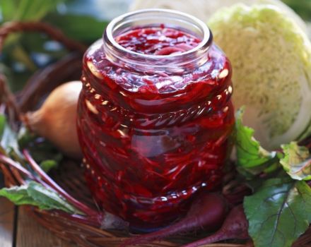 Најукуснији рецепт корејске цикле за зиму код куће
