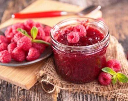 8 melhores receitas para colher framboesas para o inverno sem cozinhar