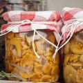 Einfache Schritt-für-Schritt-Rezepte zum Salzen von Pilzen zu Hause für den Winter in Gläsern