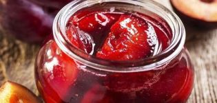 Ein einfaches Rezept für Pflaumensaft für den Winter zu Hause