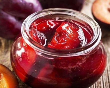 Uma receita simples de suco de ameixa para o inverno em casa