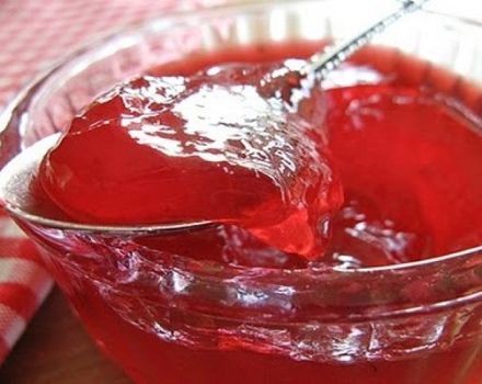 Kış için kızılcık jölesi pişirmek için en iyi 3 lezzetli tarif