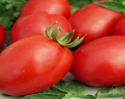 Description and characteristics of the tomato variety Fitous