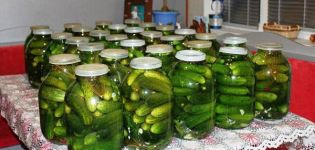 3 bästa recept för att laga gurka i gelatin för vintern
