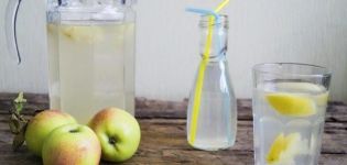TOP 2 des recettes pour l'hiver de compote de pommes et de citron