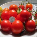 Характеристики и описание на ранния сорт домати Шелковски