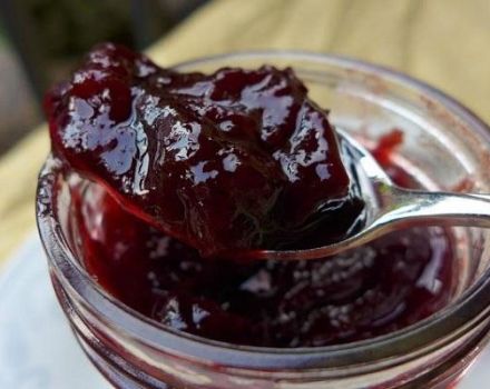 Ett enkelt recept för att göra äpple och plommon sylt för vintern