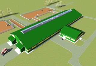Проект на кравене за 100 глави и чертежи за изграждане на ферма със собствените си ръце