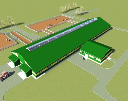 Projekt eines Kuhstalls für 100 Köpfe und Zeichnungen zum Bau einer Farm mit eigenen Händen