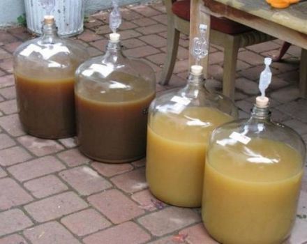2 best homemade feijoa wine recipes