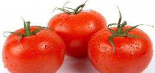 Eigenschaften und Beschreibung der Tomatensorte Gärtnertraum, Ertrag