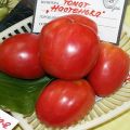 Características e descrição da variedade de tomate Nastenka, seu rendimento