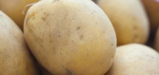 Descrição da variedade de batata Meteor, características de cultivo e cuidados