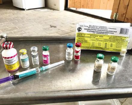 Instrução para a vacina contra rinopneumonia em cavalos e sua composição