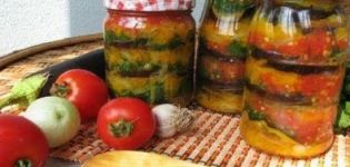 The best recipes for harvesting eggplant with honey for the winter