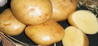 Beskrivelse af kartoffelsorten Gala, funktioner i dyrkning og pleje