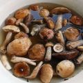TOP 10 Rezepte, wie man Pilze einfach zu Hause salzt, heiß und kalt