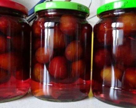 TOP 15 recipes for making pickled plum snack for the winter