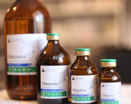 Instruktioner för användning av Ivermek för smågrisar och andra djur, analoger
