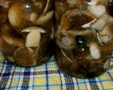 Како солити и укиселити гљиве аспен, рецепте за зиму у стакленкама